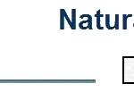 Logo_NaturalStone_ohne_Marmorhintergrund_mit_Adresse